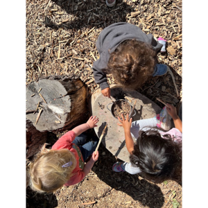 Eco (Wonder) School