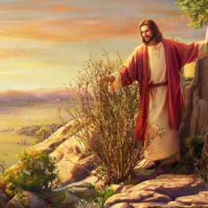 Jesus and Healing Trauma