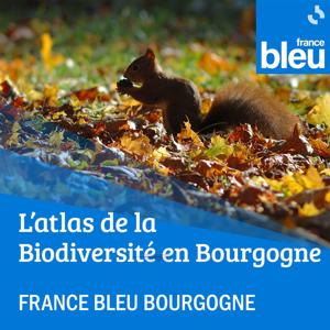 L'atlas de la Biodiversité en Bourgogne