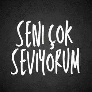 Seni Çok Seviyorum