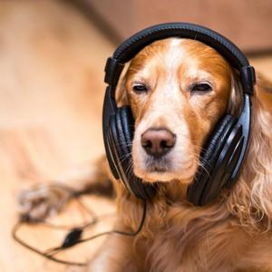 laboratorio innovazione