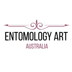 Entomology Art Australia