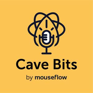 Cave Bits by Mouseflow: Uncovering Website Analytics