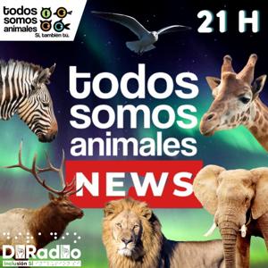 Todos Somos Animales News