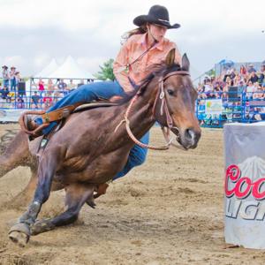 Straight From The Horses Mouth