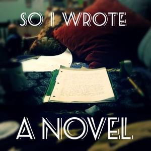 So I Wrote A Novel