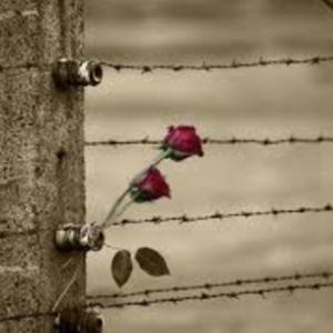 Il podcast di Gualtiero Frova