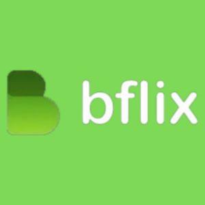bflix.team