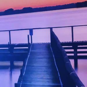 Live your life to the fullest