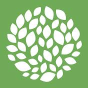 Green Renaissance on Odysee