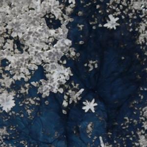 Gen-s 1401 Audio Study Guide