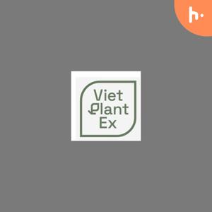 Tinh dầu cam chanh - VietPlantEx