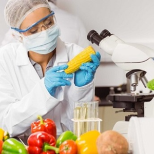 TEMAS IMPORTANTES EN LA INGENIERÍA DE ALIMENTOS