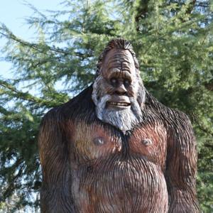 Solving Forrest Fenn’s Treasure Poem  -  by Big Foot