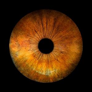 Open My Eyes
