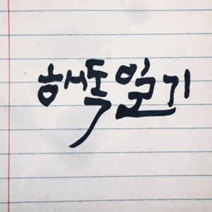 해독일기
