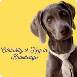 Curiosity is Key to Knowledge