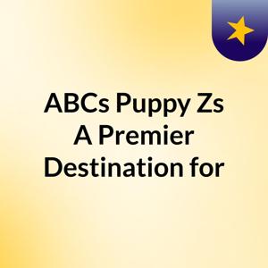 ABCs Puppy Zs: A Premier Destination for