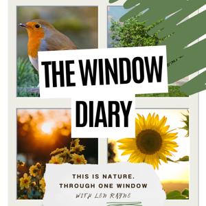 The Window Diary