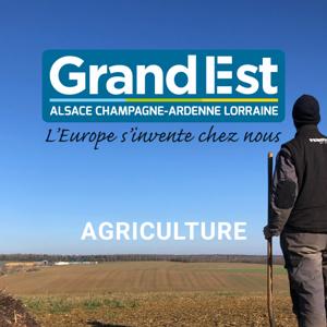 Région Grand Est - Agriculture