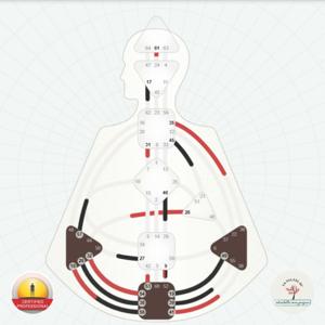 Human Design System Diario di Bordo di un Proiettore Emozionale