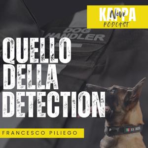 Quello della DETECTION