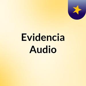 Evidencia Audio