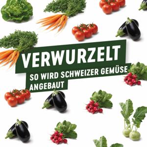 Verwurzelt – so wird Schweizer Gemüse angebaut