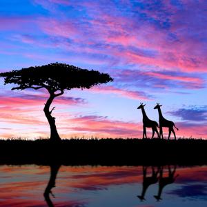 Sprazzi di Africa: gli itinerari che ho in mente