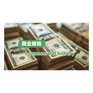 The Story of a Chinese Lawyer
