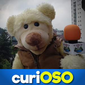 curiOSO