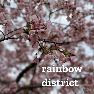 Rainbow District