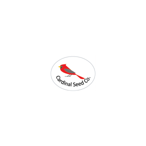 Industrial Engineering Medication Safety