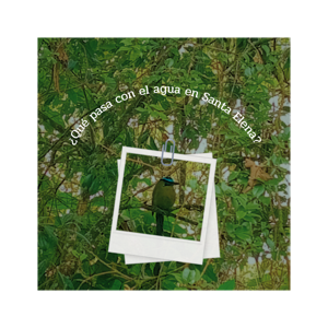 ¿Qué pasa con el agua en Santa Elena?