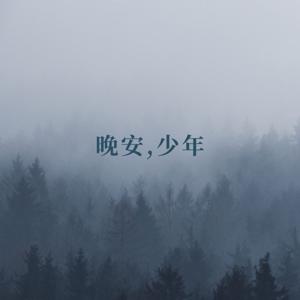 晚安，少年（入眠伴侣）