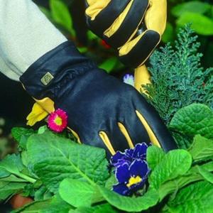 Jardinage