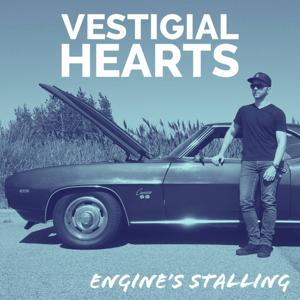 Engine's Stalling