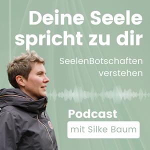 Deine Seele spricht zu dir - SeelenBotschaften verstehen