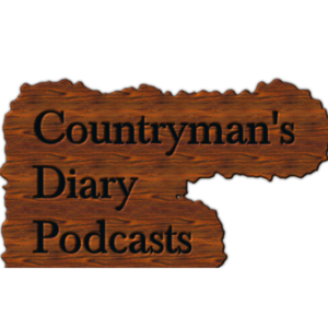 Countryman's diary podcast.
