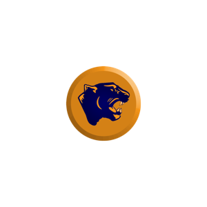 Oswego Girls Basketball Podcast