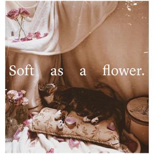 Soft as a Flower