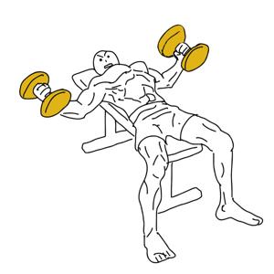 毎日ダンベルフライデー