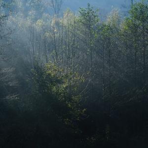 19-Tod und Ewigkeit