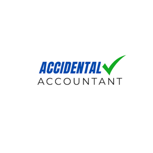 Accidental Accountant