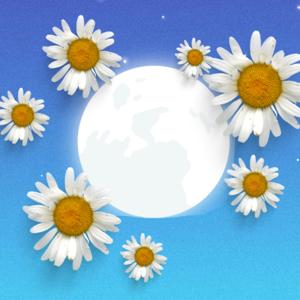 Frau Siebenschläfer