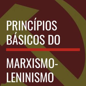 Princípios básicos do Marxismo-leninismo
