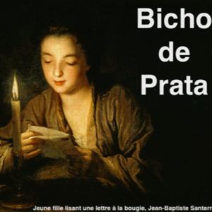 Bicho de Prata
