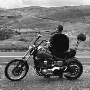 Ride The Storm