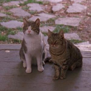 Doble G el podcast de Gilmore Girls