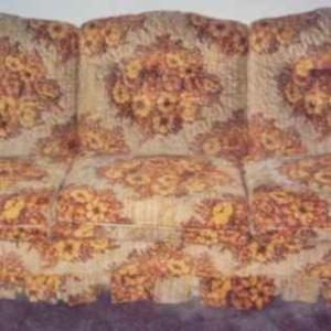 Stories, Half-Truths and Outright Lies from the World's Ugliest Couch
